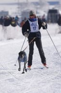 Lenk 2013